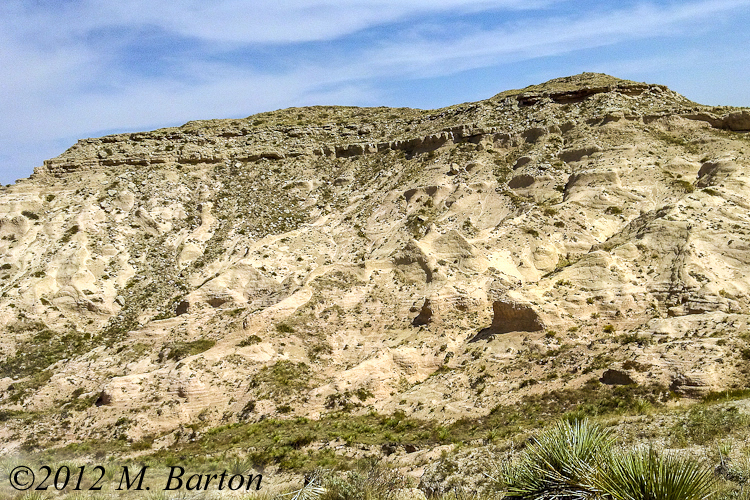 Entomology Collecting at Pawnee Buttes